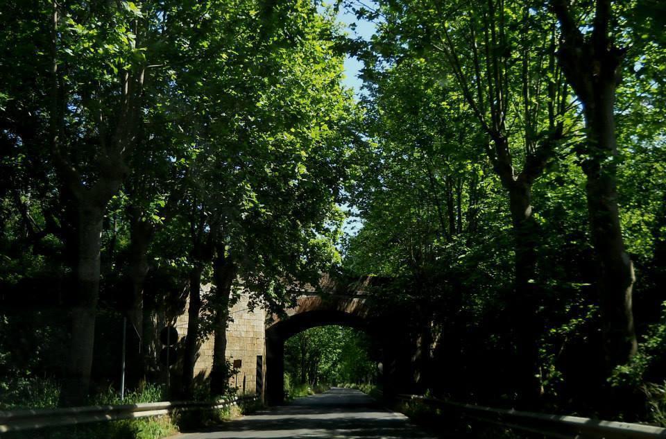 Agriturismo Casale Re Sonnino Zimmer foto